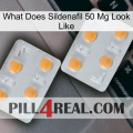 What Does Sildenafil 50 Mg Look Like 25